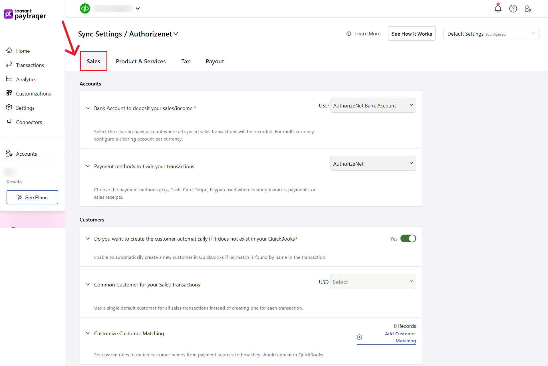 Authorize Net - Sales Tab.png