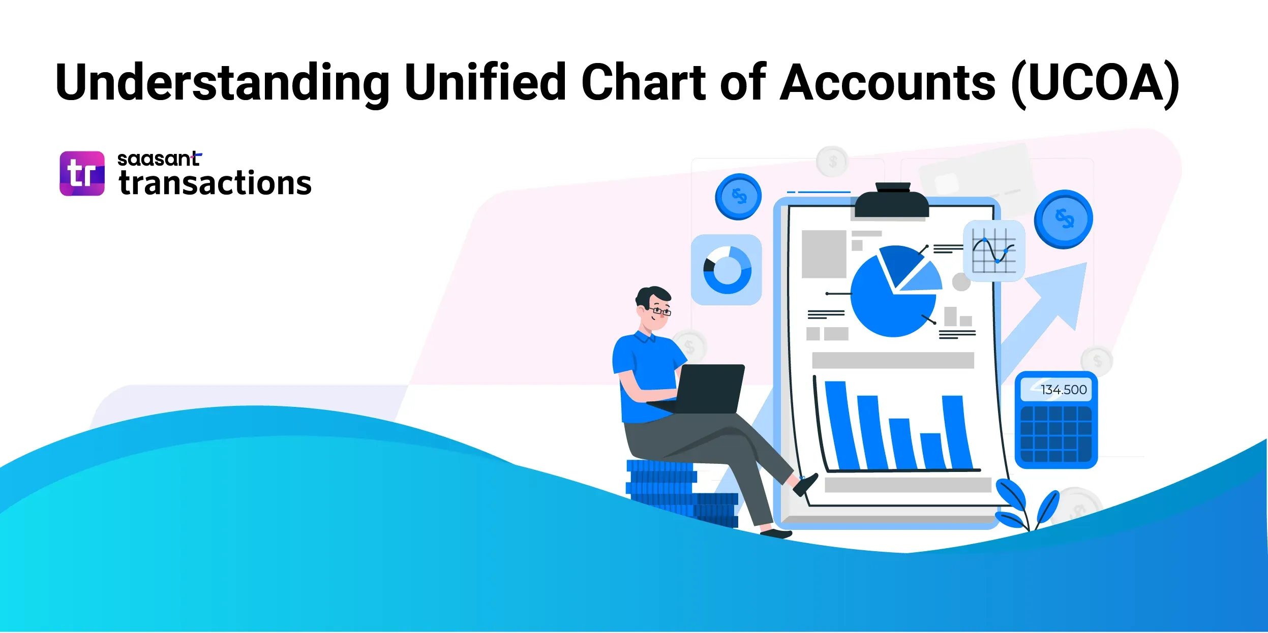 Understanding the Unified Chart of Accounts (UCOA)